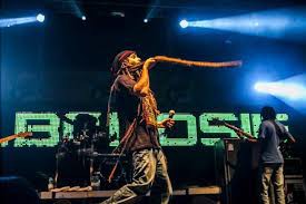 Sumol Summer Fest- Alborosie